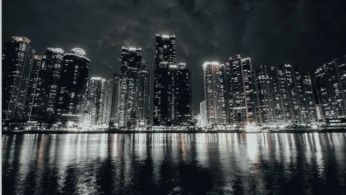 蘑菇视频 - 城市之光：霓虹背后的人间烟火