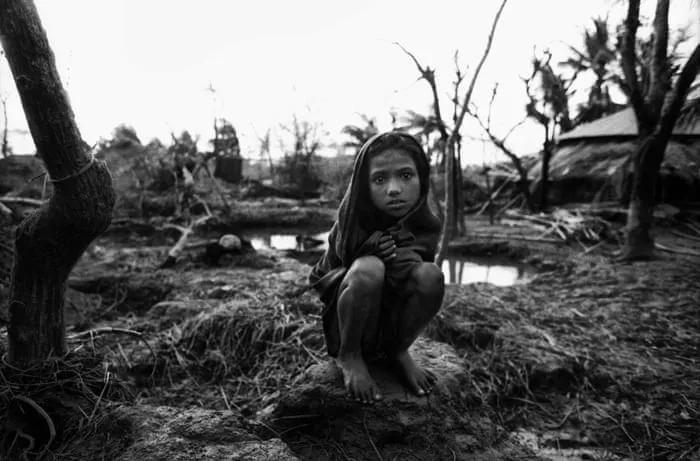 蘑菇视频 - 消失的部落获奖纪录片海报